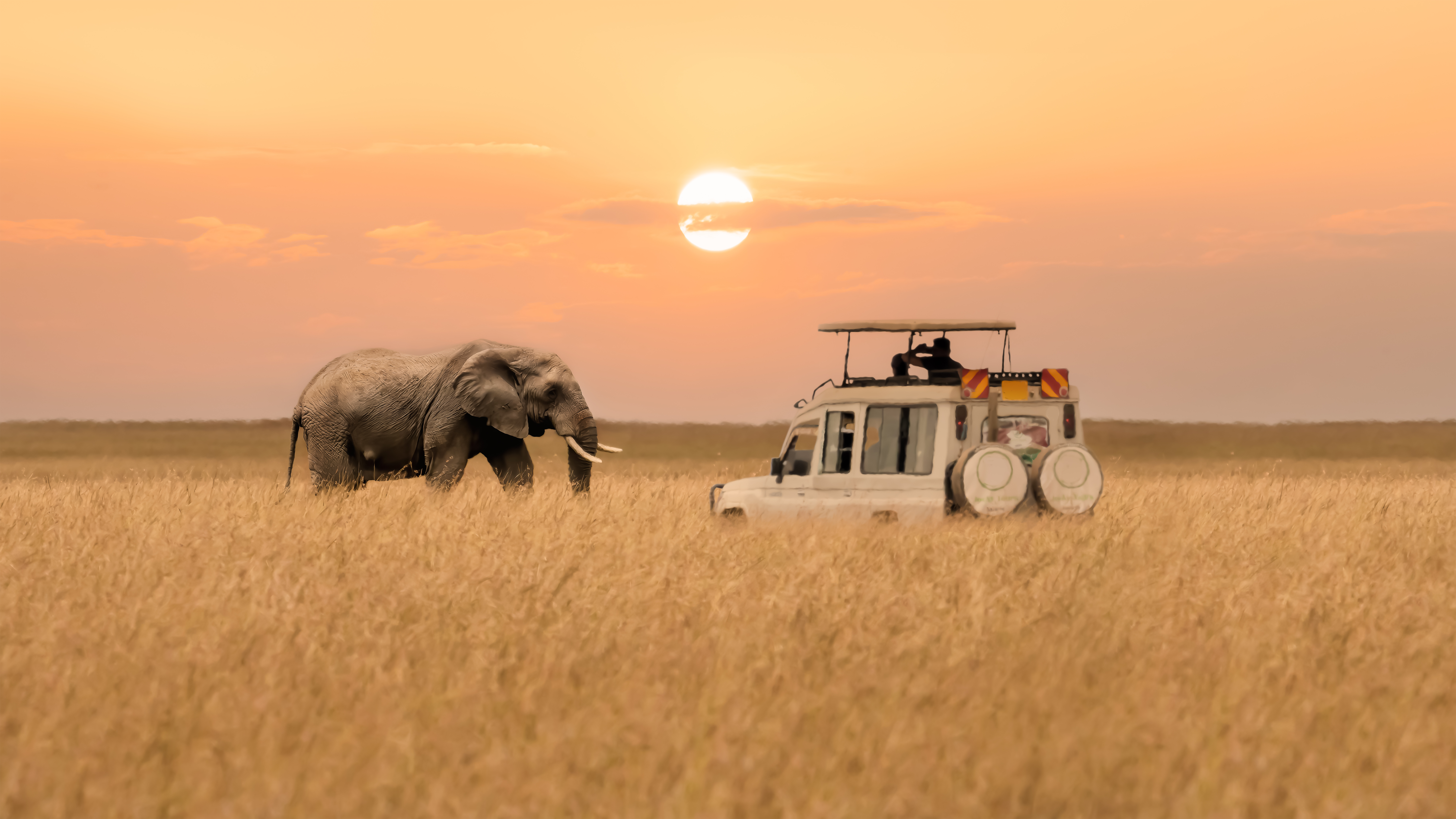 Safari and Zanzibar luxury escape